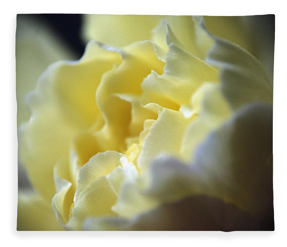 Wall Art Fleece Blanket featuring the photograph Yellow Beauty by Ron Roberts