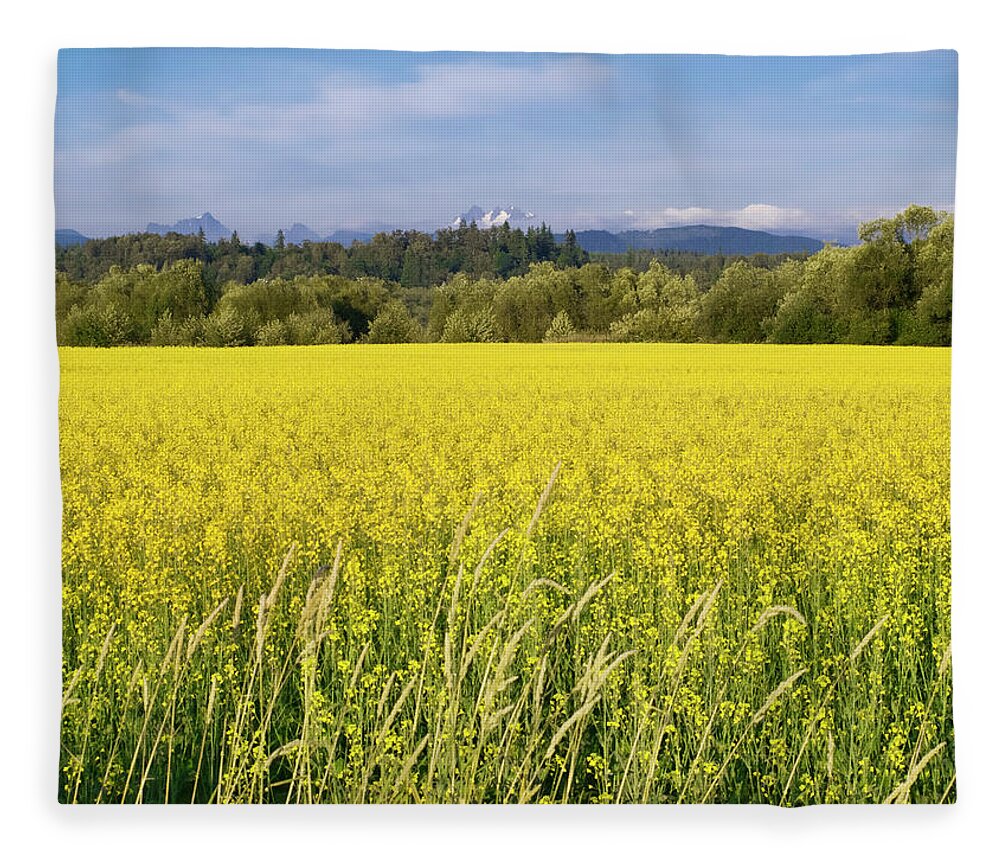 Tranquility Fleece Blanket featuring the photograph Yellow Canola Crop by Scott King