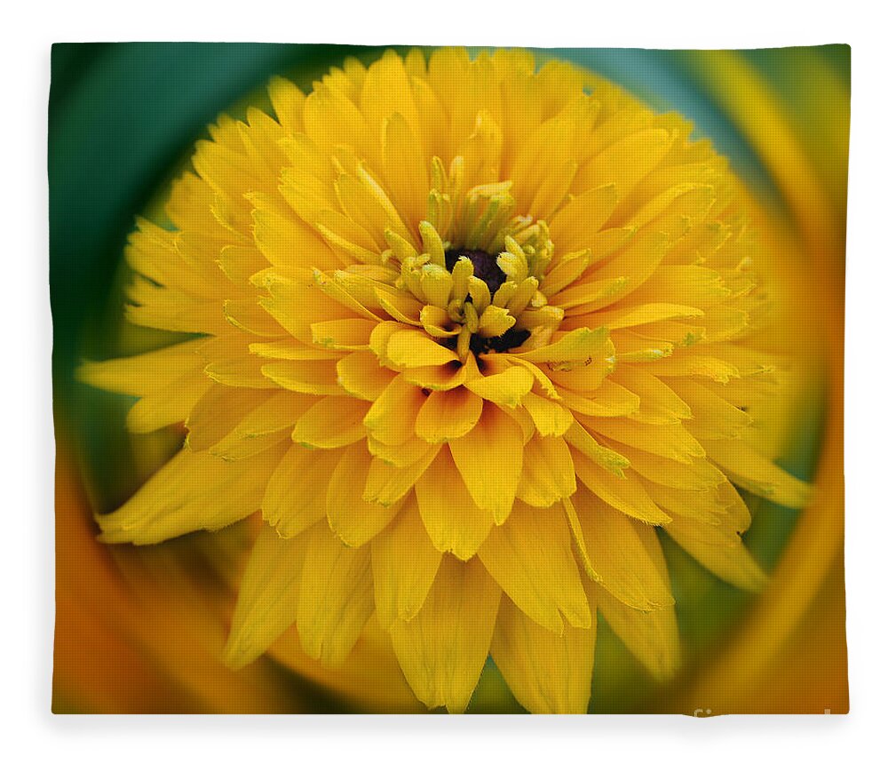 Flower Fleece Blanket featuring the photograph Yellow Daisy Delight by Smilin Eyes Treasures