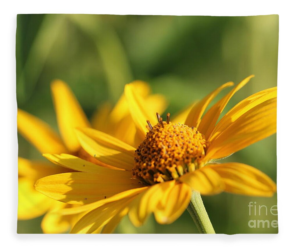 Blossom Fleece Blanket featuring the photograph Yellow Flower by Amanda Mohler