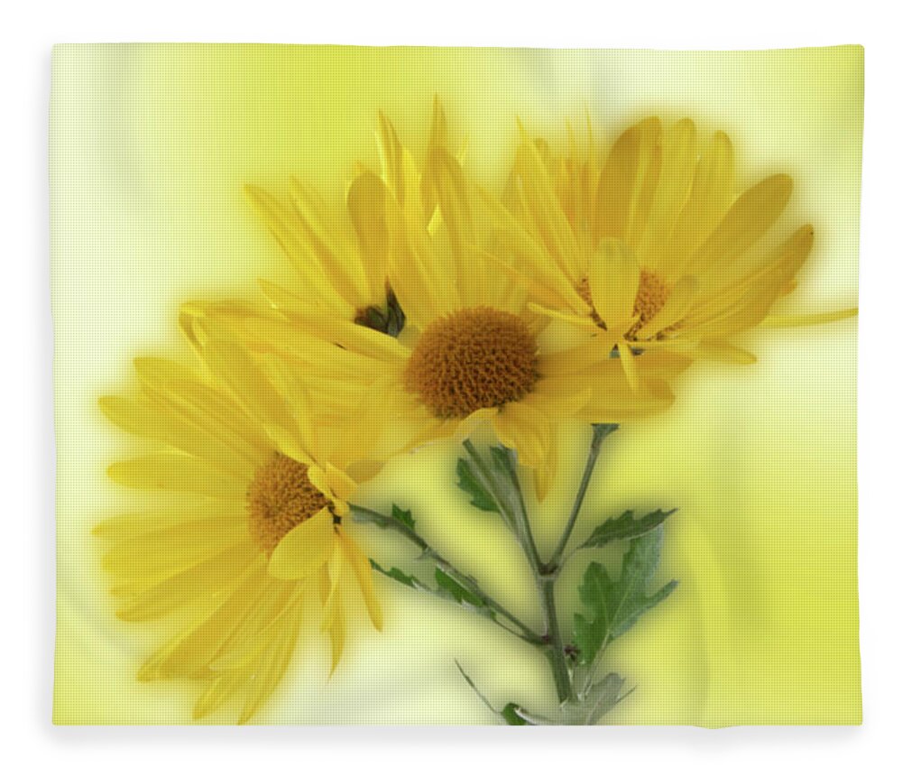 Yellow Fleece Blanket featuring the photograph Yellow by Ron Roberts