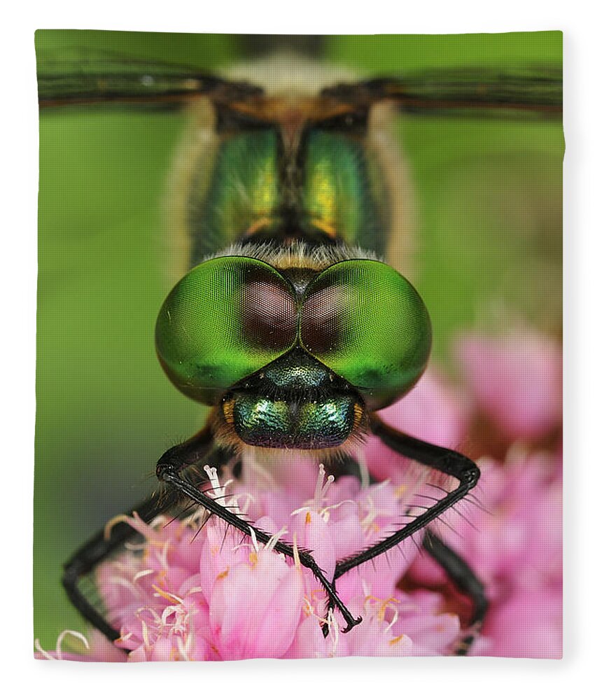 Feb0514 Fleece Blanket featuring the photograph Yellow-spotted Dragonfly Switzerland by Thomas Marent