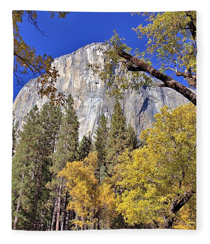 7224 Fleece Blanket featuring the photograph Yosemite in November by Gordon Elwell