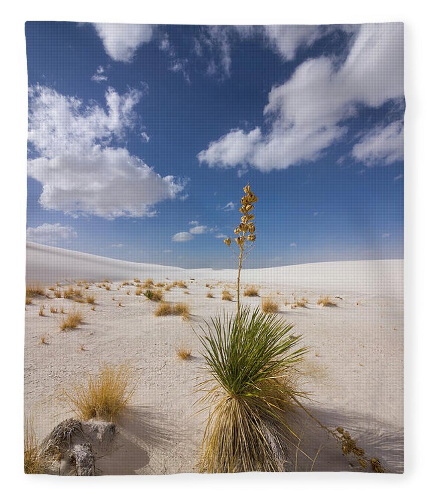 00559170 Fleece Blanket featuring the photograph Yucca Growing On Dune In White Sands N by 