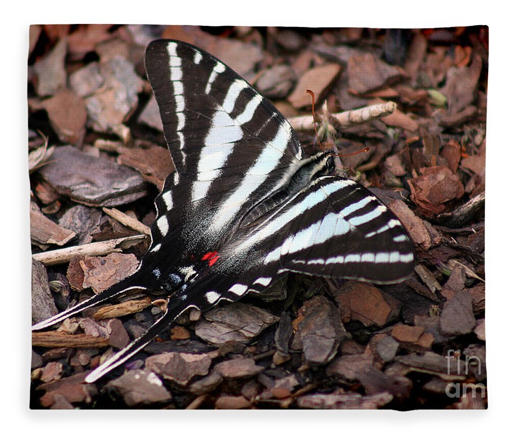 Zebra Swallowtail Fleece Blanket featuring the photograph Zebra Swallowtail Butterfly by Karen Adams