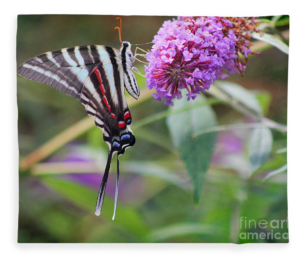Zebra Fleece Blanket featuring the photograph Zebra Swallowtail Butterfly on Butterfly Bush by Karen Adams