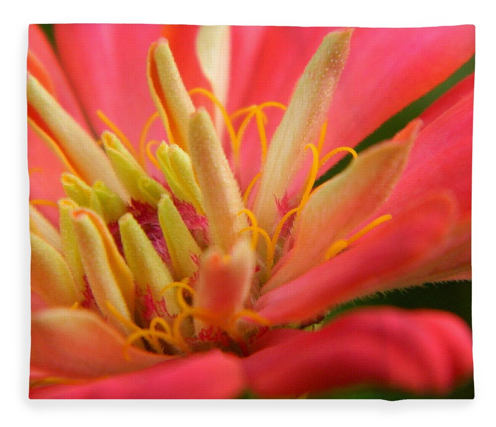 Flower Fleece Blanket featuring the photograph Zinnia Styri by Karen Mesaros