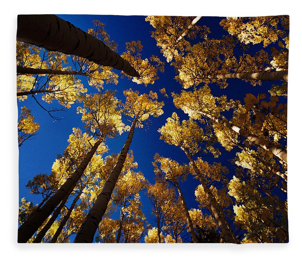 Red River Fleece Blanket featuring the photograph Aspens At Middlefork by Ron Weathers