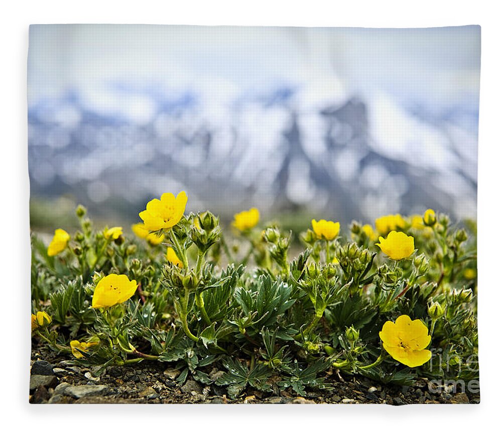 Alpine Fleece Blanket featuring the photograph Alpine meadow in Jasper National Park 4 by Elena Elisseeva