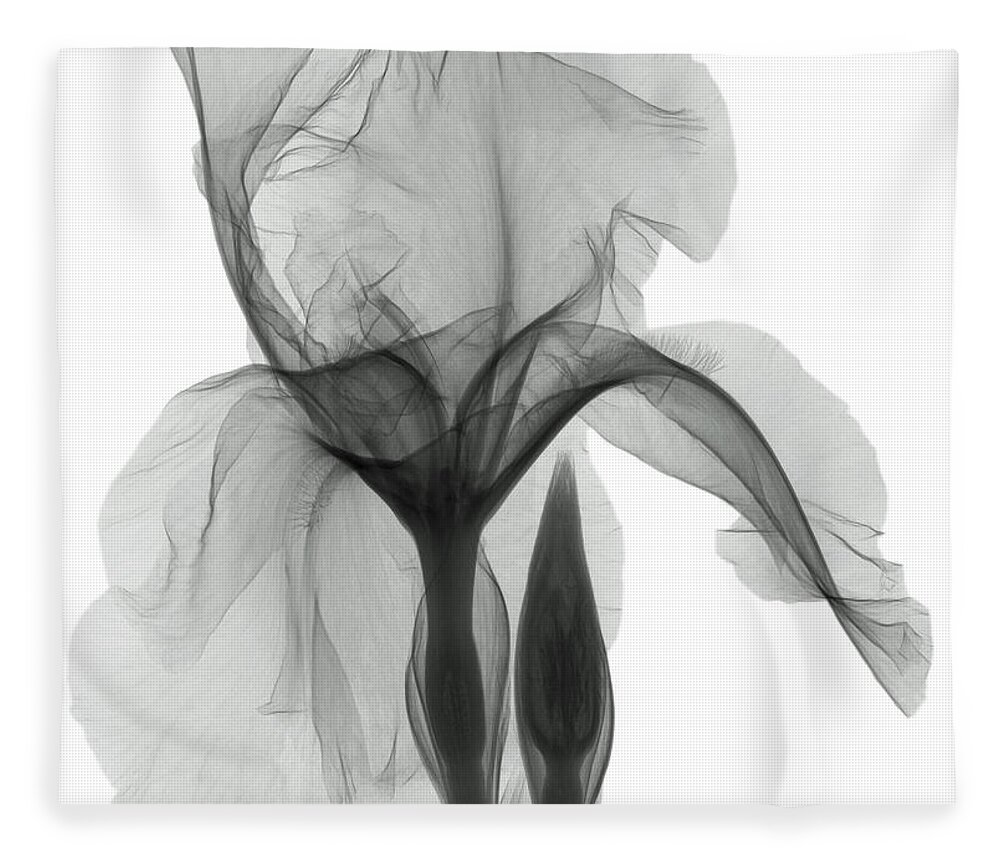 Xray Fleece Blanket featuring the photograph An X-ray Of An Iris Flower by Ted Kinsman