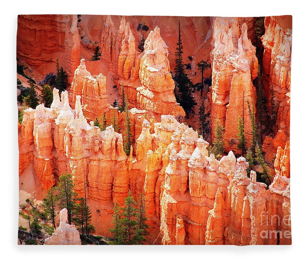 Bryce Canyon Fleece Blanket featuring the photograph Bryce Canyon Hoodoos #1 by Susanne Van Hulst