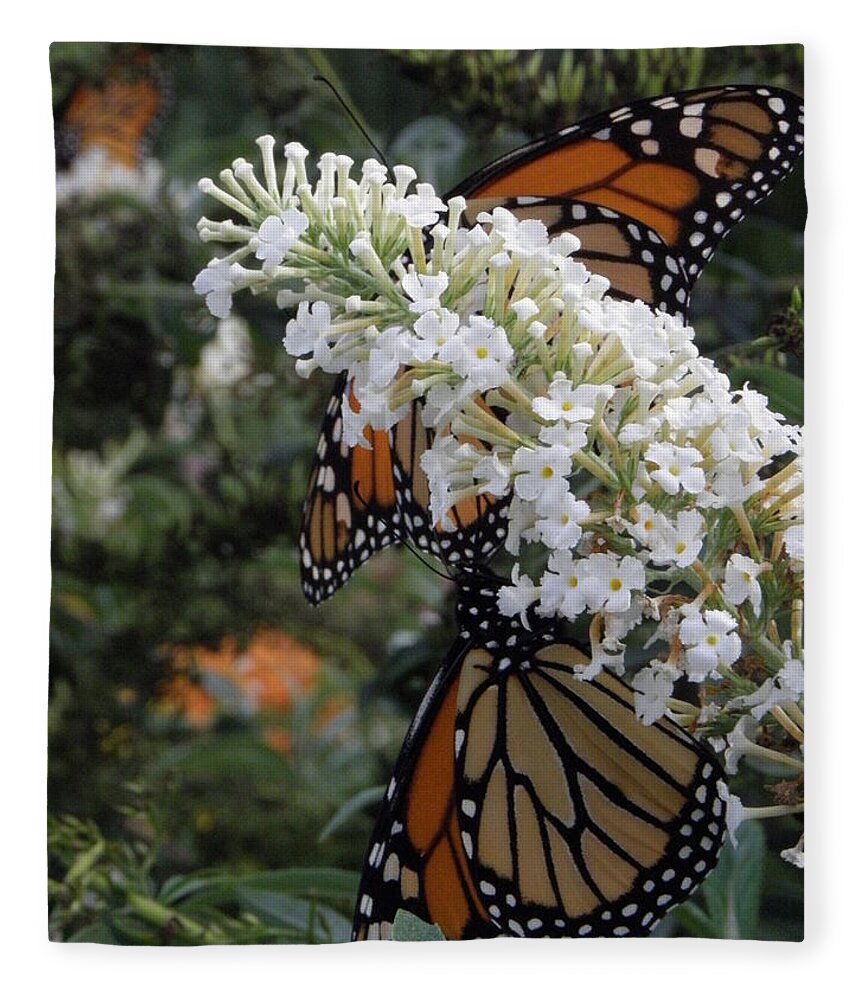 Monarch Fleece Blanket featuring the photograph Double Beauty by Kim Galluzzo Wozniak