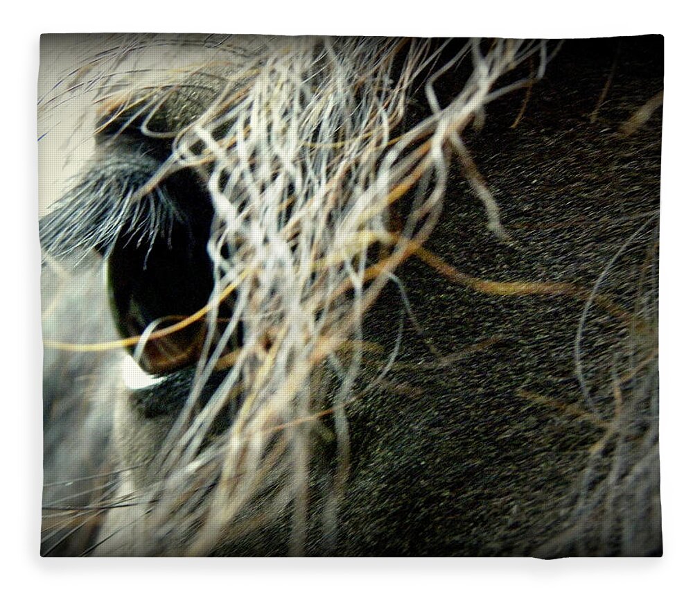 Friesian Horse Fleece Blanket featuring the photograph Gracie #1 by Kim Galluzzo