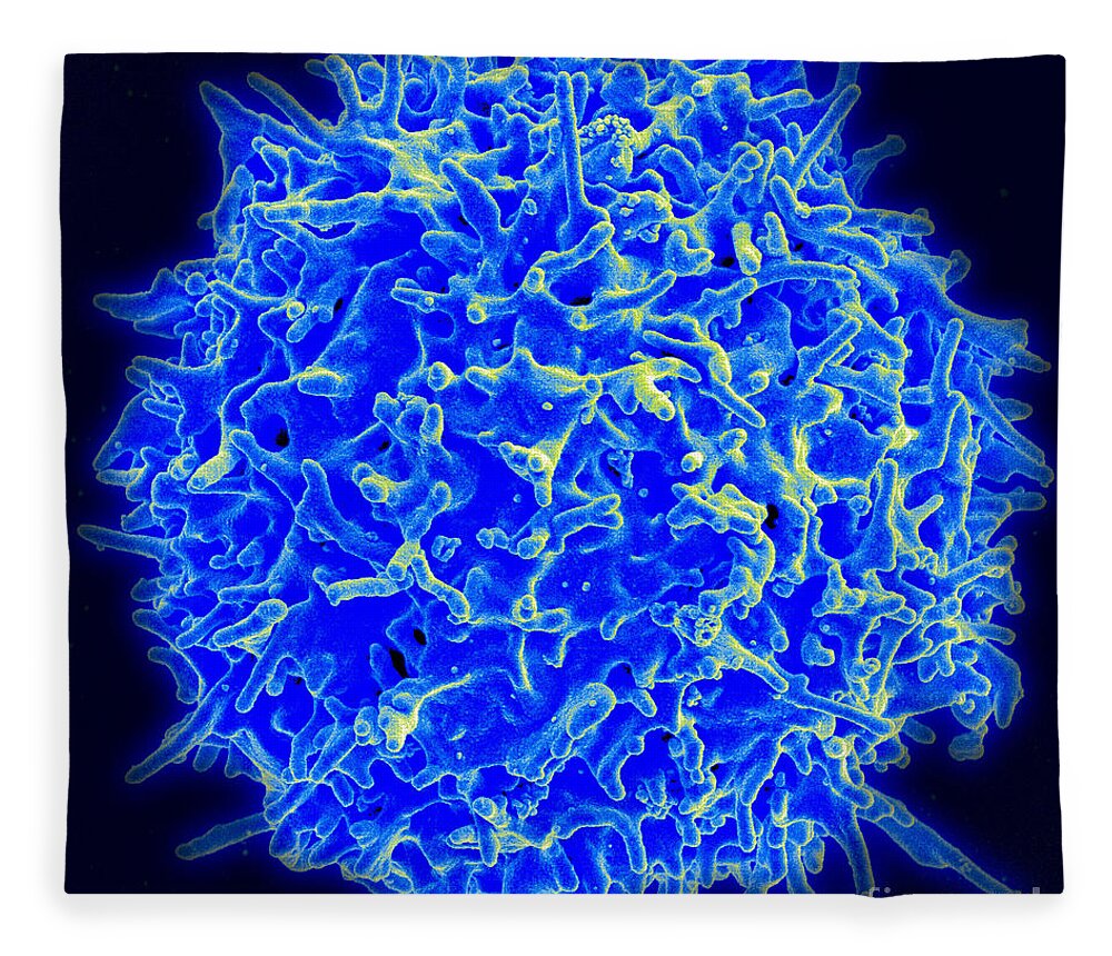 Biology Fleece Blanket featuring the photograph Healthy Human T Cell, Sem by Science Source