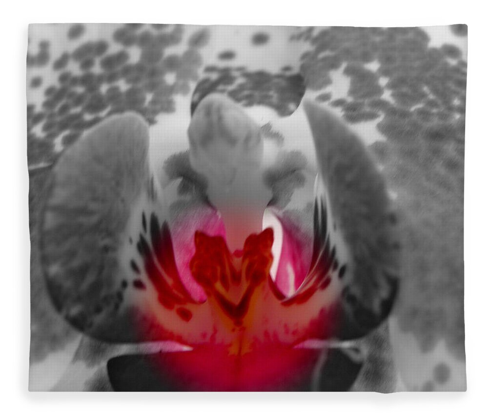 Black And White Flower With A Touch Of Color Fleece Blanket featuring the photograph Just A Touch #1 by Kim Galluzzo