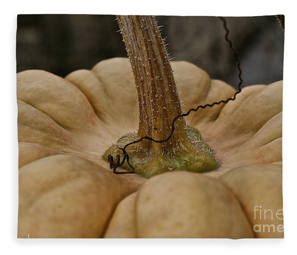  Fleece Blanket featuring the photograph Pumpkin Top #1 by Susan Herber