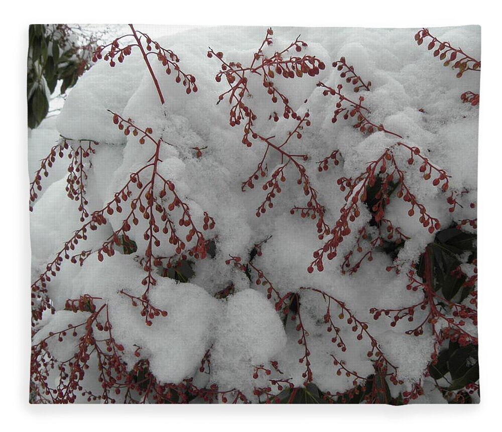 Snow Fleece Blanket featuring the photograph Snow Covered by Kim Galluzzo Wozniak