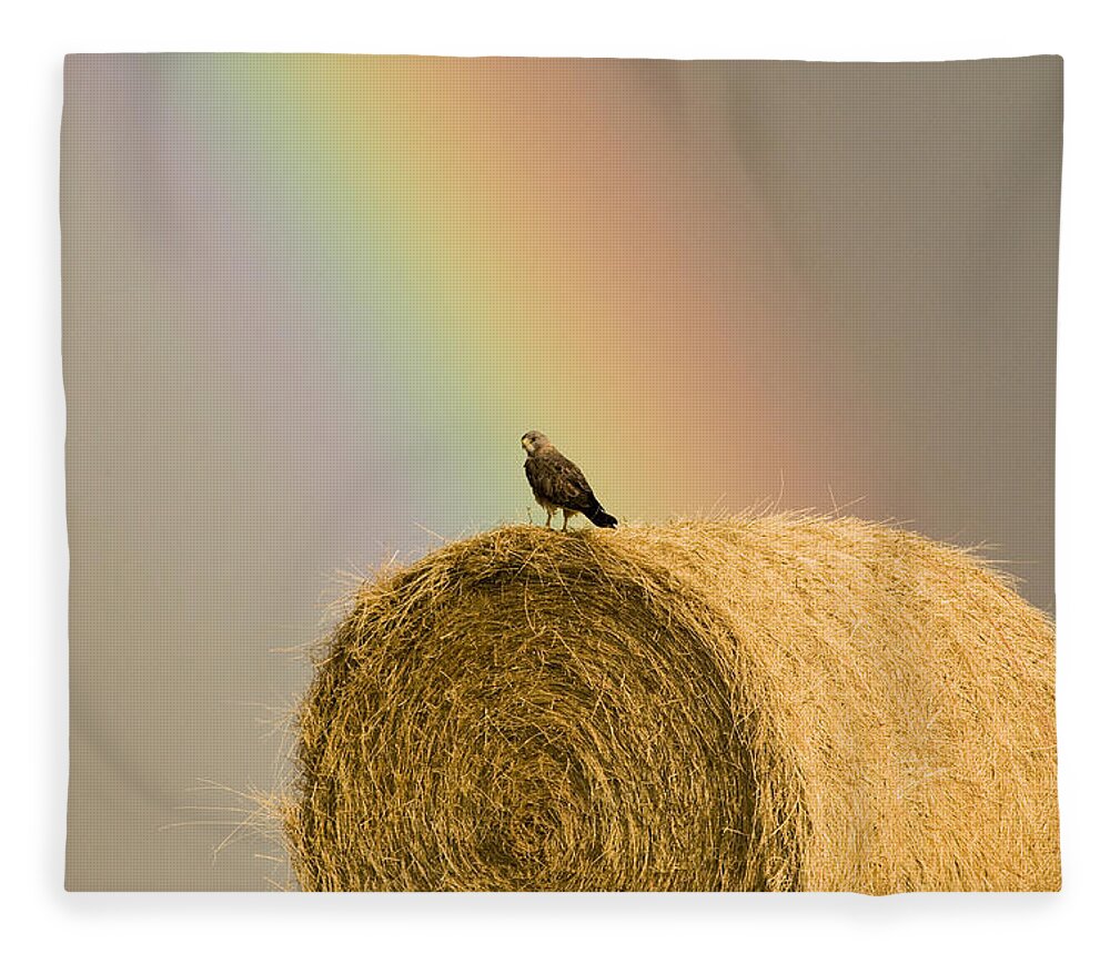 Hawk Fleece Blanket featuring the photograph Swainson Hawks on Hay Bale #1 by Mark Duffy