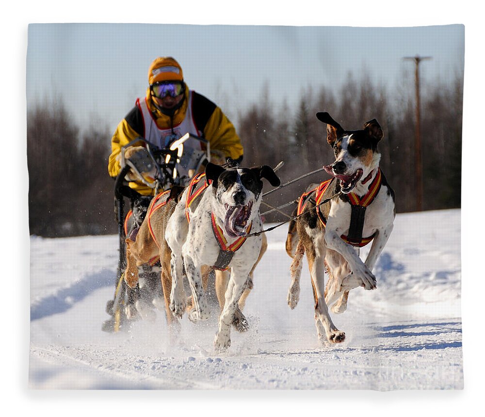 Alaska Fleece Blanket featuring the photograph 2011 Limited North American Sled Dog Race #1 by Gary Whitton