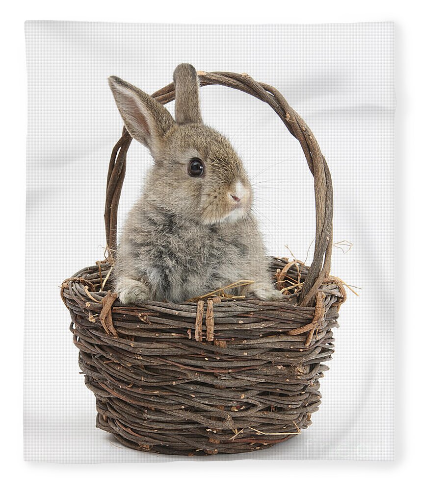 Animal Fleece Blanket featuring the photograph Bunny In A Basket #3 by Mark Taylor