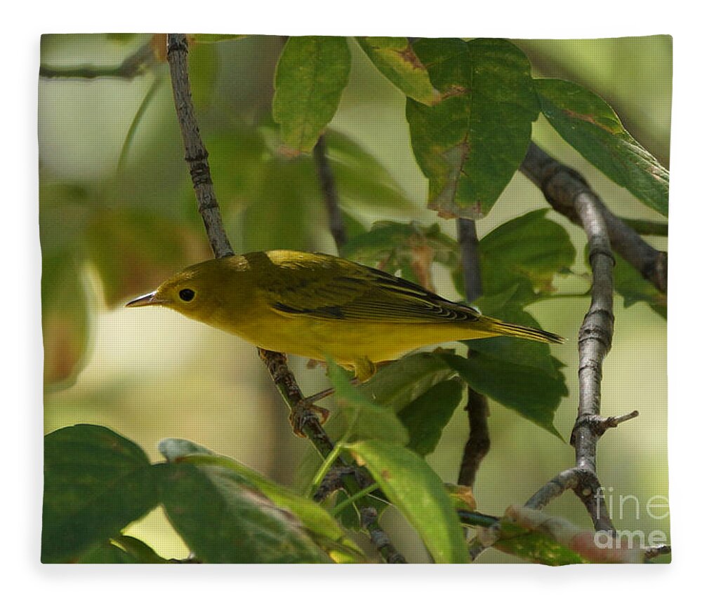 Birds Fleece Blanket featuring the photograph Wilson's Warbler #5 by Lori Tordsen