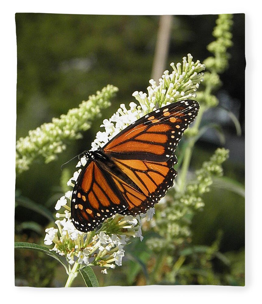 Monarch Fleece Blanket featuring the photograph A Capture Of Beauty by Kim Galluzzo