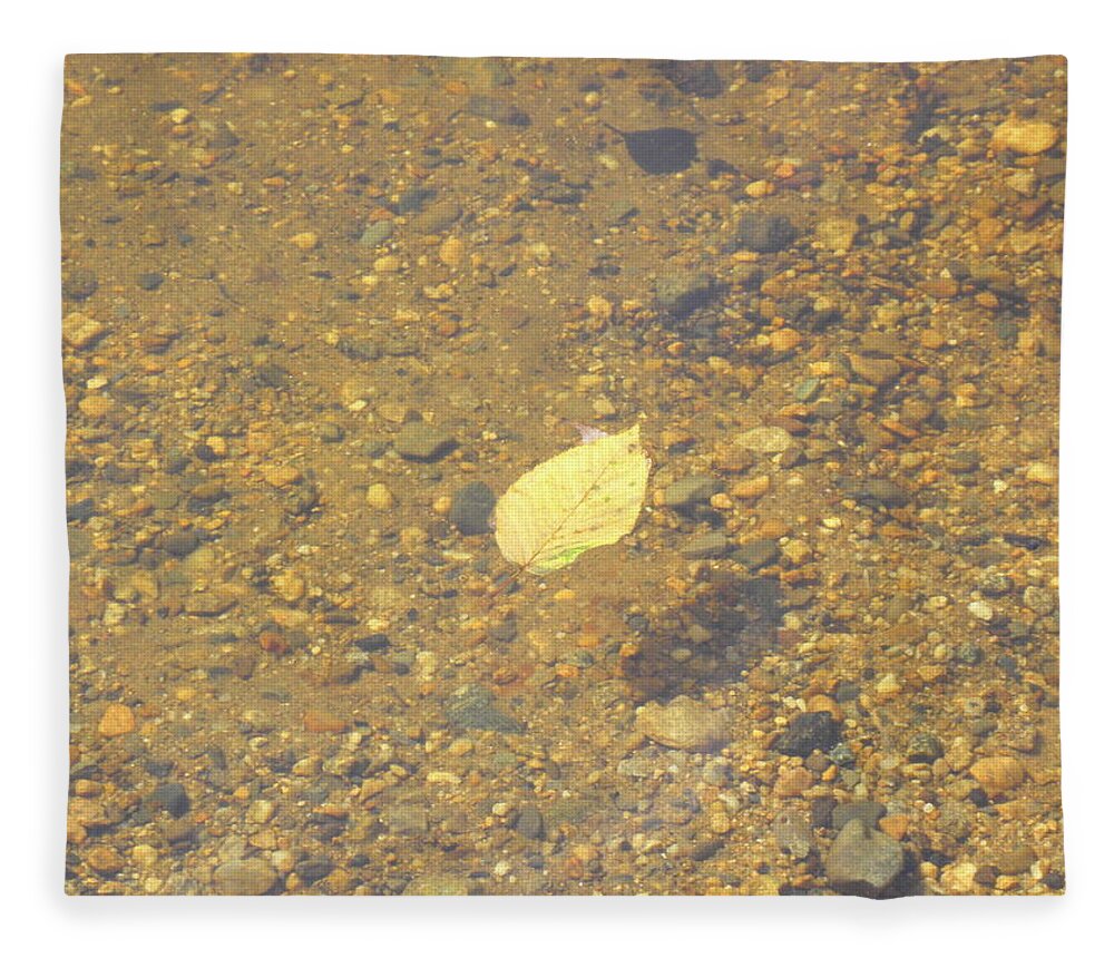 Leaf Fleece Blanket featuring the photograph A Lonely Floater by Kim Galluzzo Wozniak