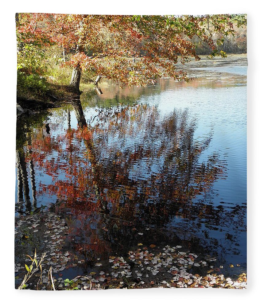 Reflection Fleece Blanket featuring the photograph A Trees Reflection And Fallen Leaves by Kim Galluzzo