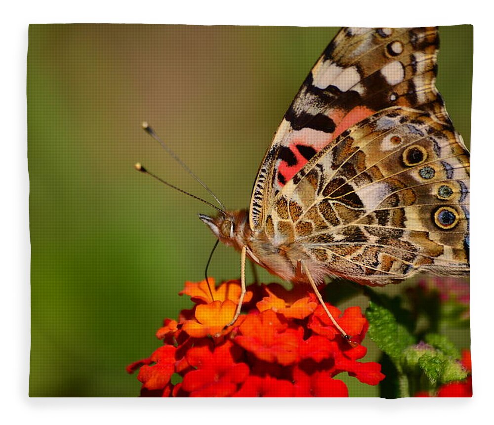 Butterfly Fleece Blanket featuring the photograph A Wing of Beauty by Lori Tambakis