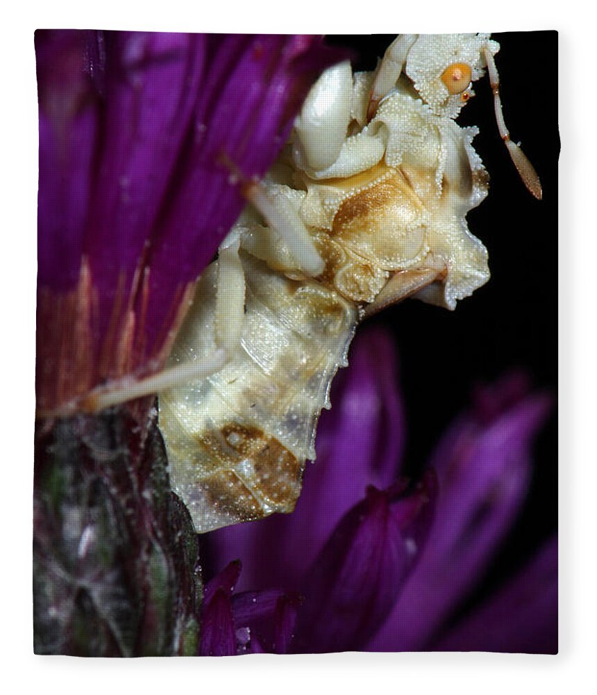 Phymatidae Fleece Blanket featuring the photograph Ambush Bug On Ironweed by Daniel Reed
