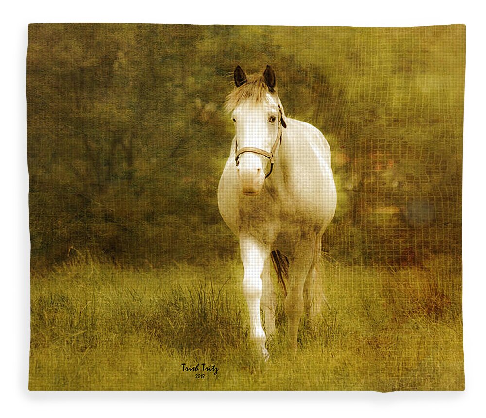 Horse Fleece Blanket featuring the photograph Andre On The Farm by Trish Tritz