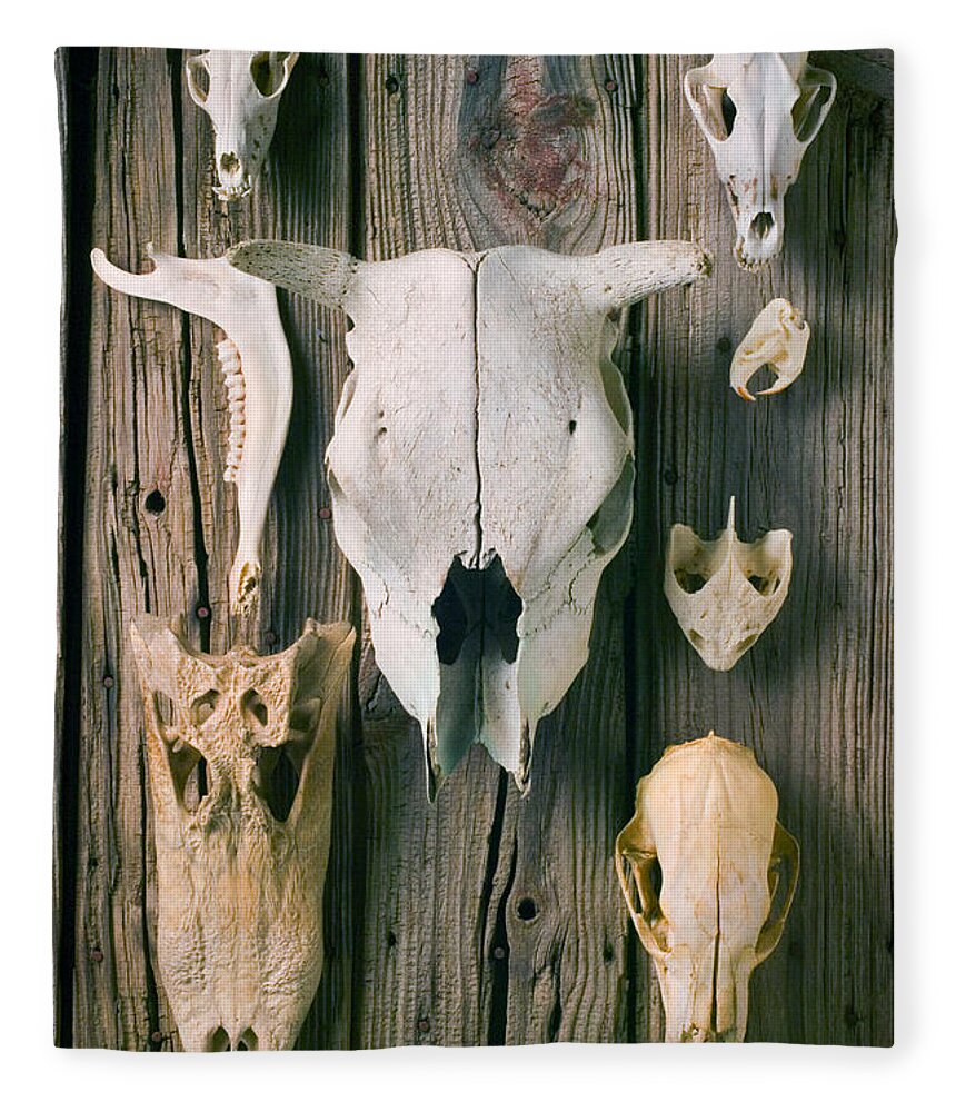 Skull Fleece Blanket featuring the photograph Animal skulls by Garry Gay