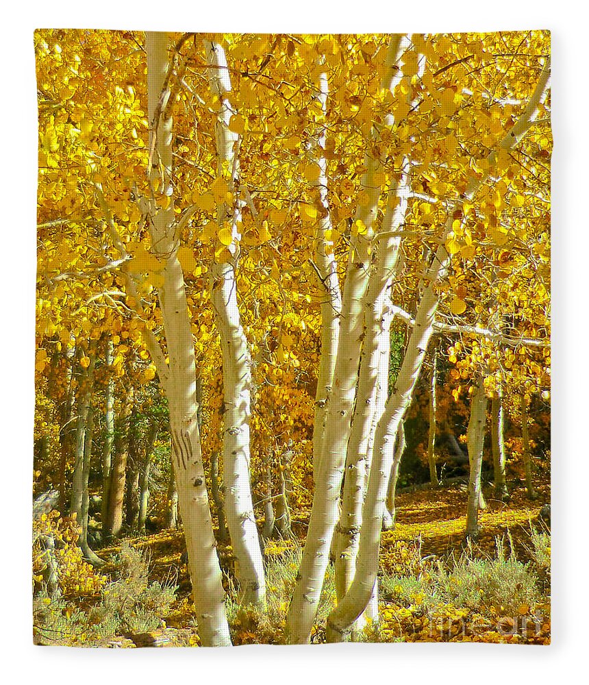 Aspen Fleece Blanket featuring the photograph Aspen Claws by L J Oakes