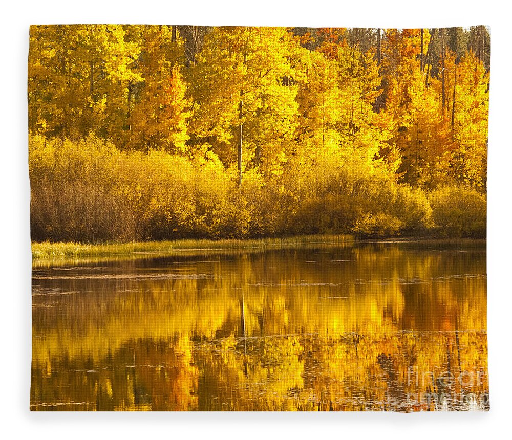 Colorful Aspen Leaves Fleece Blanket featuring the photograph Aspen Pond by L J Oakes