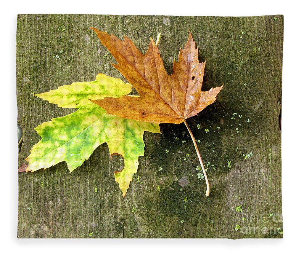 Autumn Leaves Fleece Blanket featuring the photograph Autumn Pair by Marilyn Smith