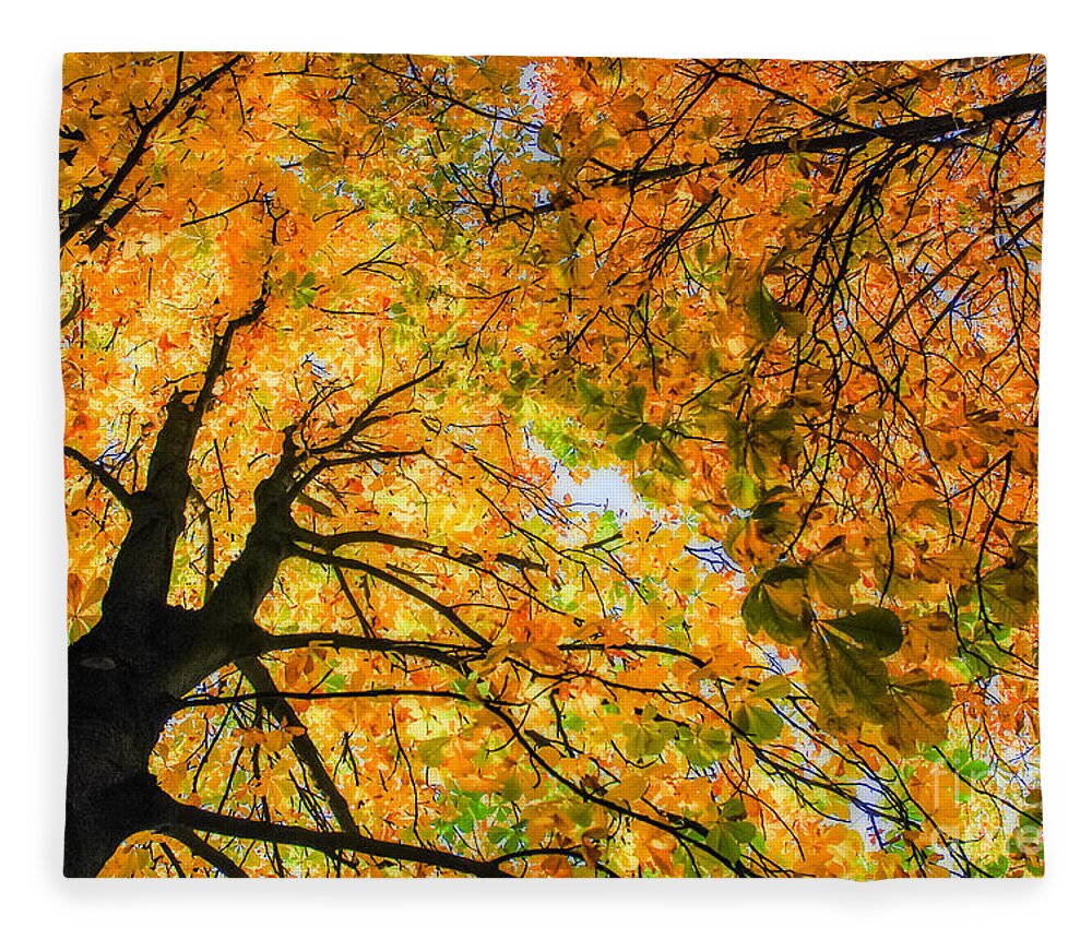 Orange Fleece Blanket featuring the photograph Autumn Sky by Hannes Cmarits