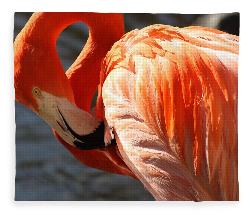 Flamingo Fleece Blanket featuring the photograph Beautiful Bird by Kim Galluzzo Wozniak