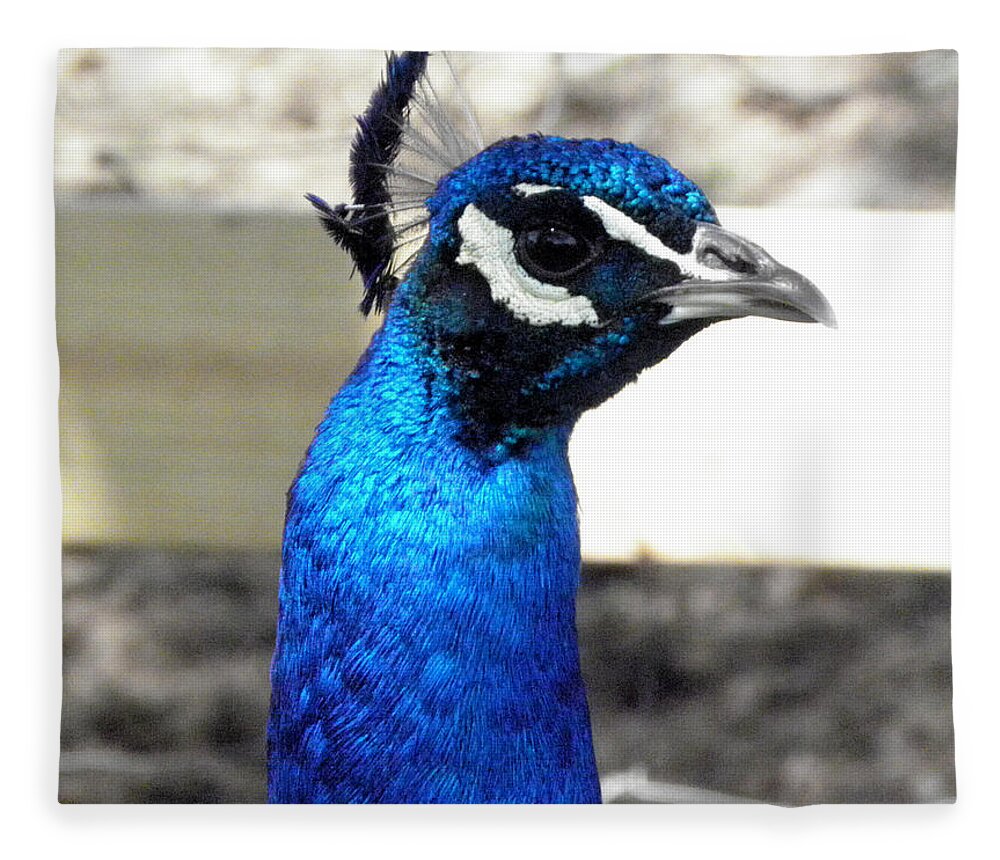 Peacock Fleece Blanket featuring the photograph Beautiful blues by Kim Galluzzo