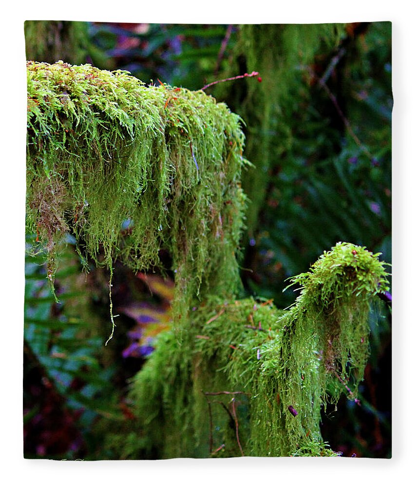 Beautiful Moss Fleece Blanket by Jeanette C Landstrom - Pixels