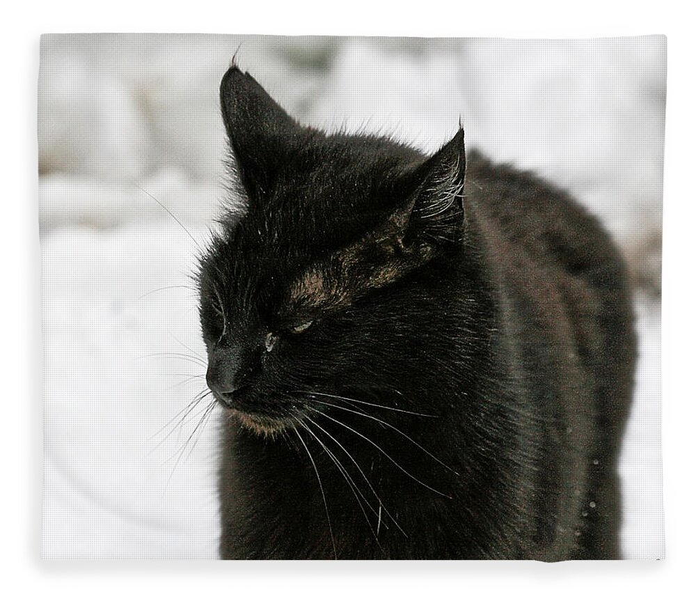 Photo Fleece Blanket featuring the photograph Black Cat White Snow by Chriss Pagani