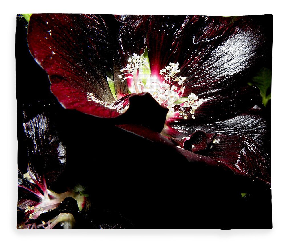 Black Hollyhock Fleece Blanket featuring the photograph Black is Beautiful by Kim Galluzzo Wozniak