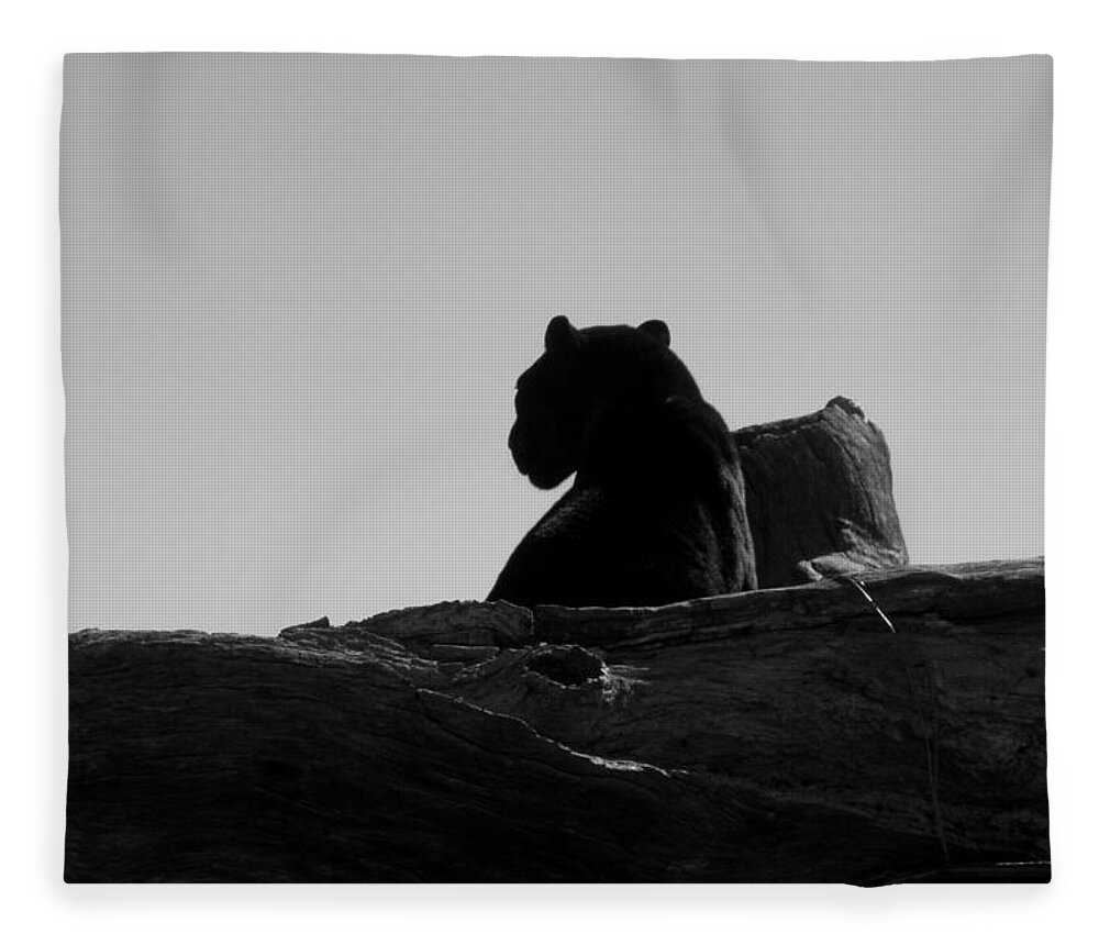 Black Fleece Blanket featuring the photograph Black Jaguar by Kim Galluzzo Wozniak