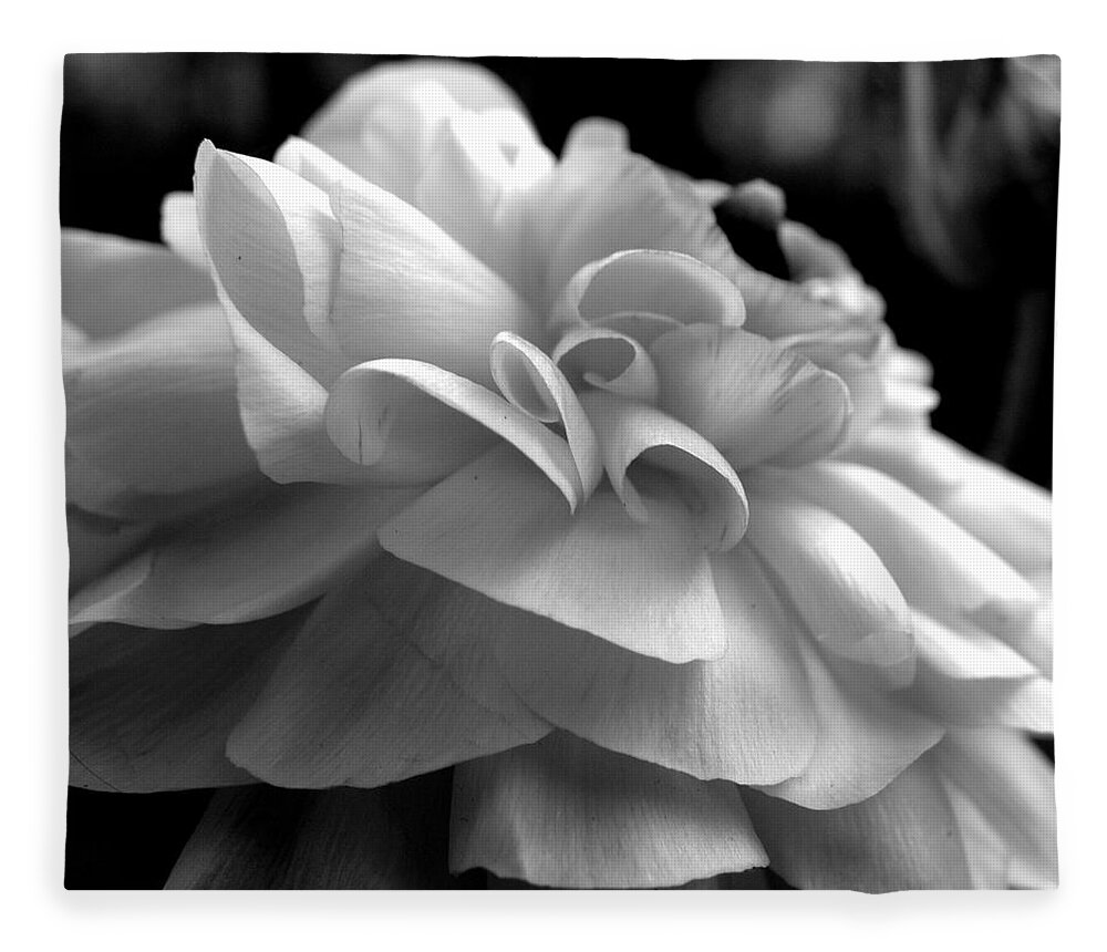 Ranunculus Fleece Blanket featuring the photograph Black N White Beauty by Kim Galluzzo Wozniak
