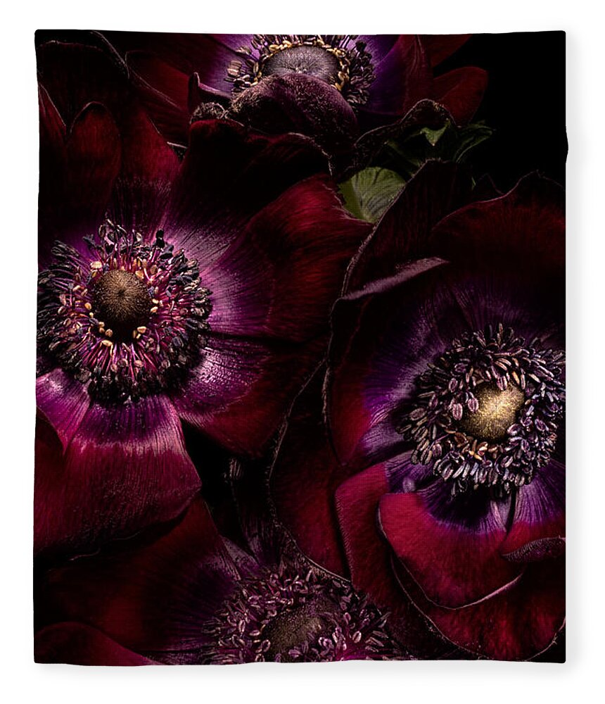 Anemone Fleece Blanket featuring the photograph Blood Red Anemones by Ann Garrett