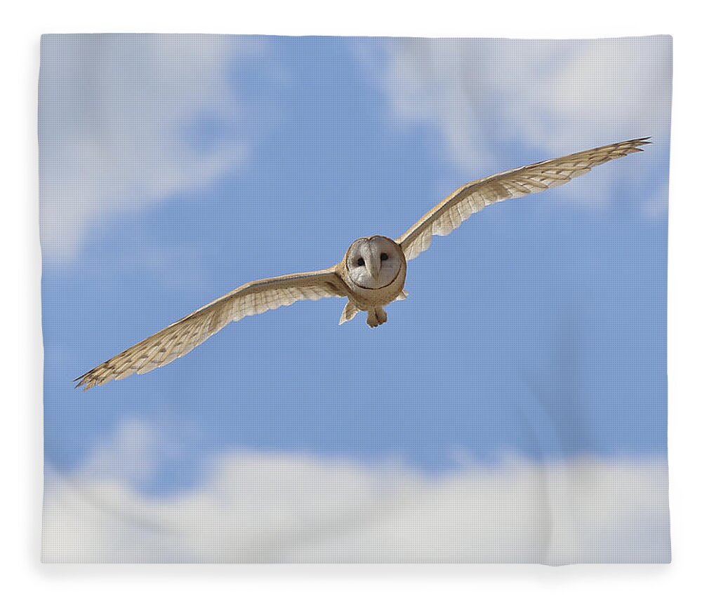 Landscape Fleece Blanket featuring the photograph Blue sky barn owl by John T Humphrey