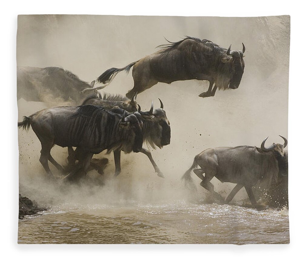 00761256 Fleece Blanket featuring the photograph Blue Wildebeest Crossing Mara River by Suzi Eszterhas