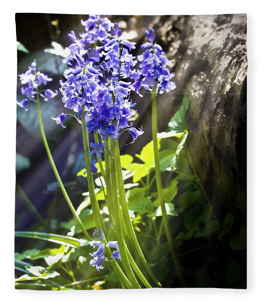 Wild Flowers Fleece Blanket featuring the photograph Bluebells in the woods by Simon Bratt