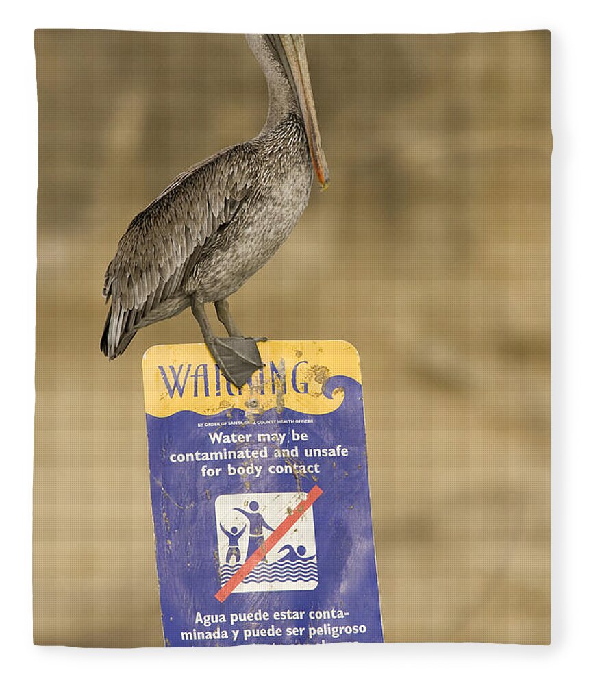 00429766 Fleece Blanket featuring the photograph Brown Pelican On Contaminated Water by Sebastian Kennerknecht