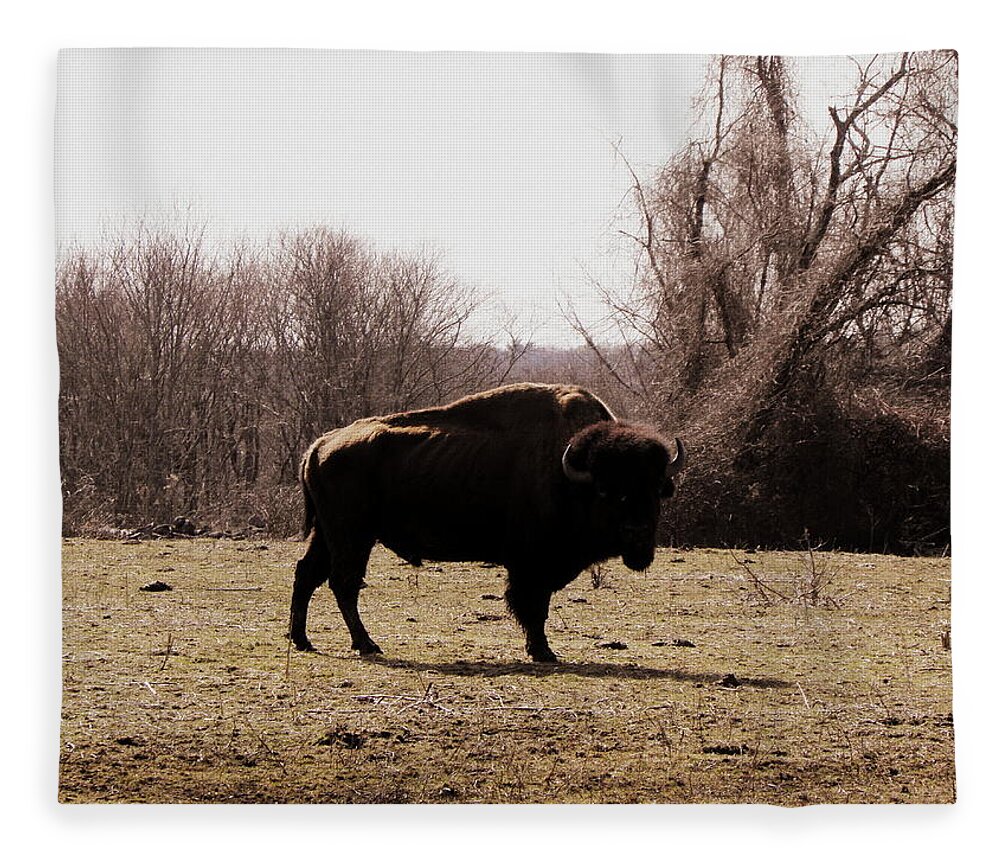 Bull Fleece Blanket featuring the photograph Bull by Kim Galluzzo