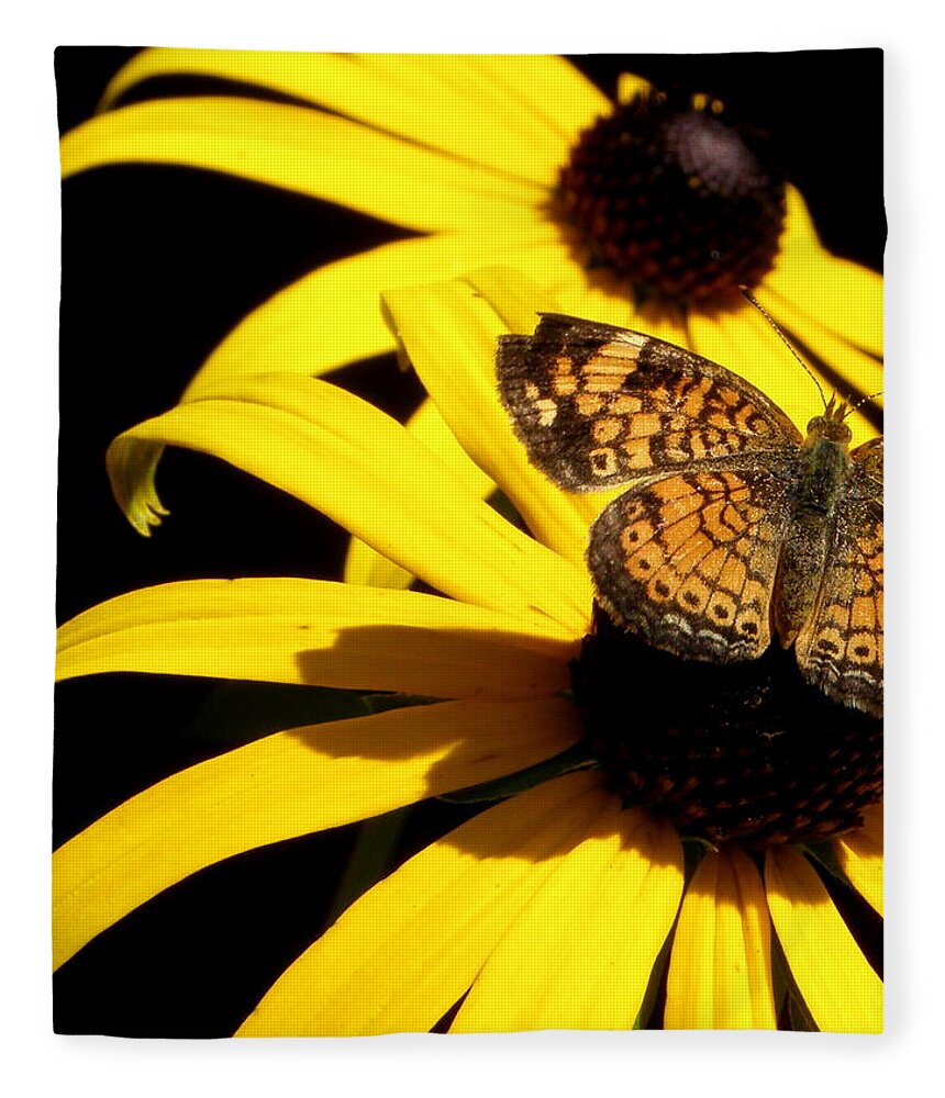 Butterfly Fleece Blanket featuring the photograph Butterfly on a flower by Kim Galluzzo